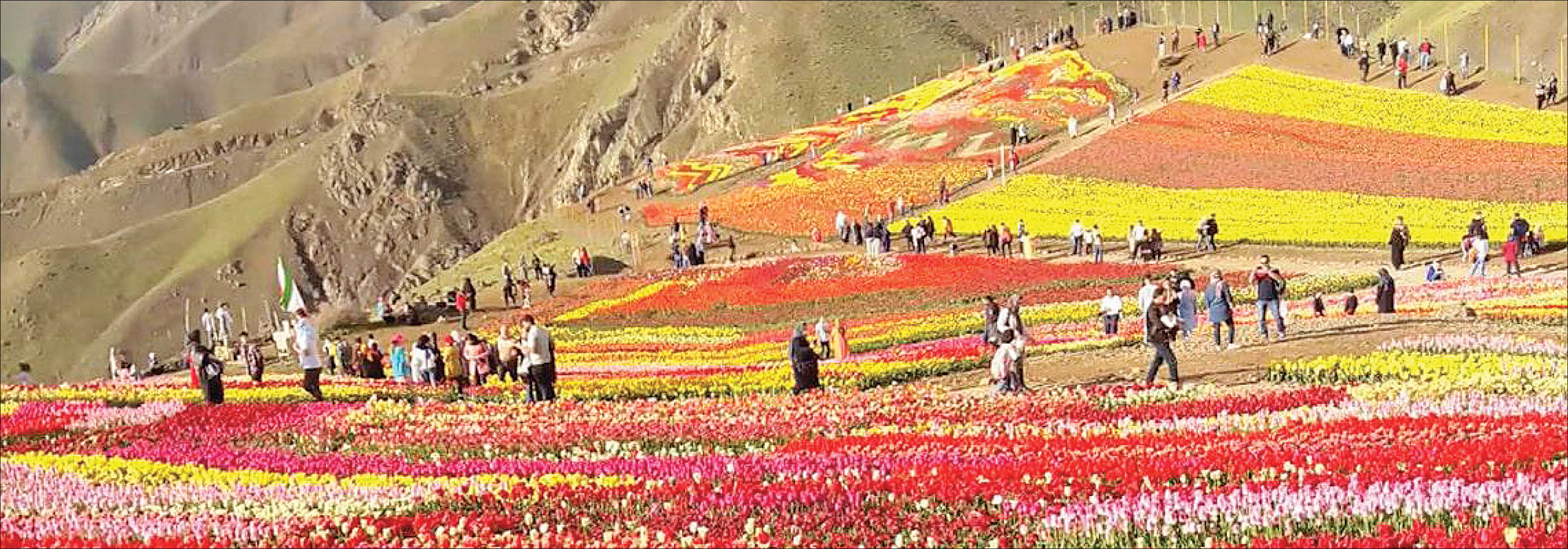 گلزارهای غرب پایتخت گردشگران را به سمت خود جذب می‌کنند