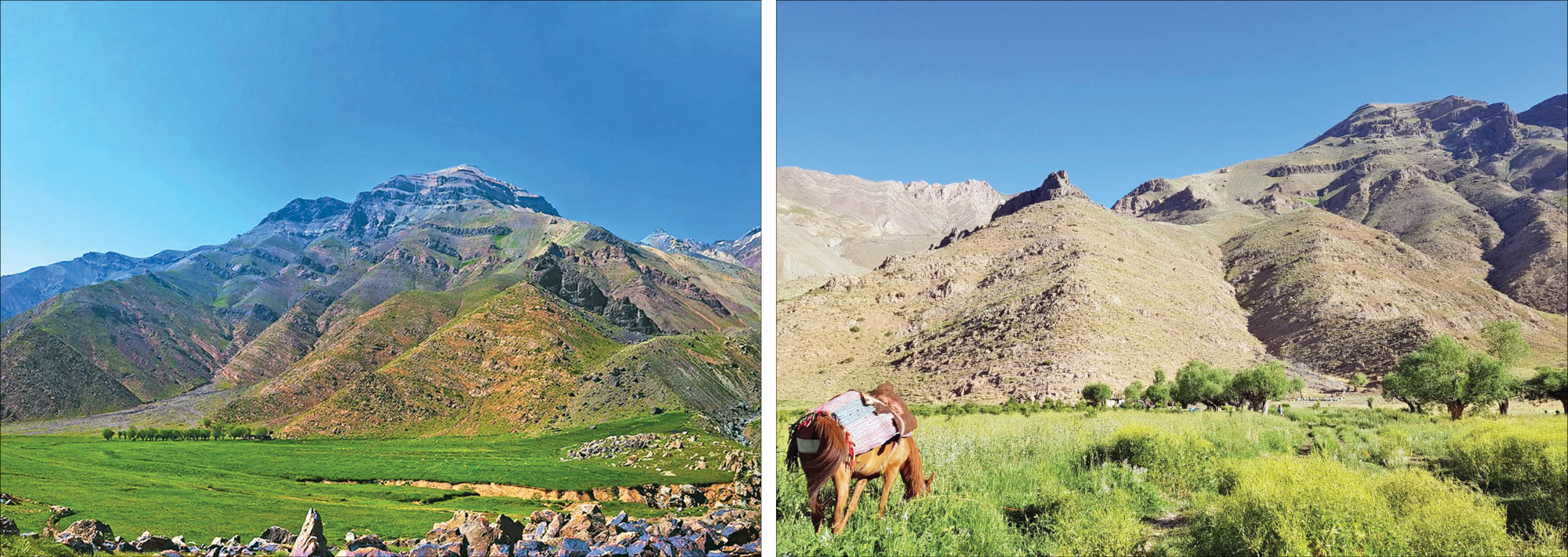 این بهار، طبیعت‌گردی در دشت‌های شمال تهران را تجربه کنید