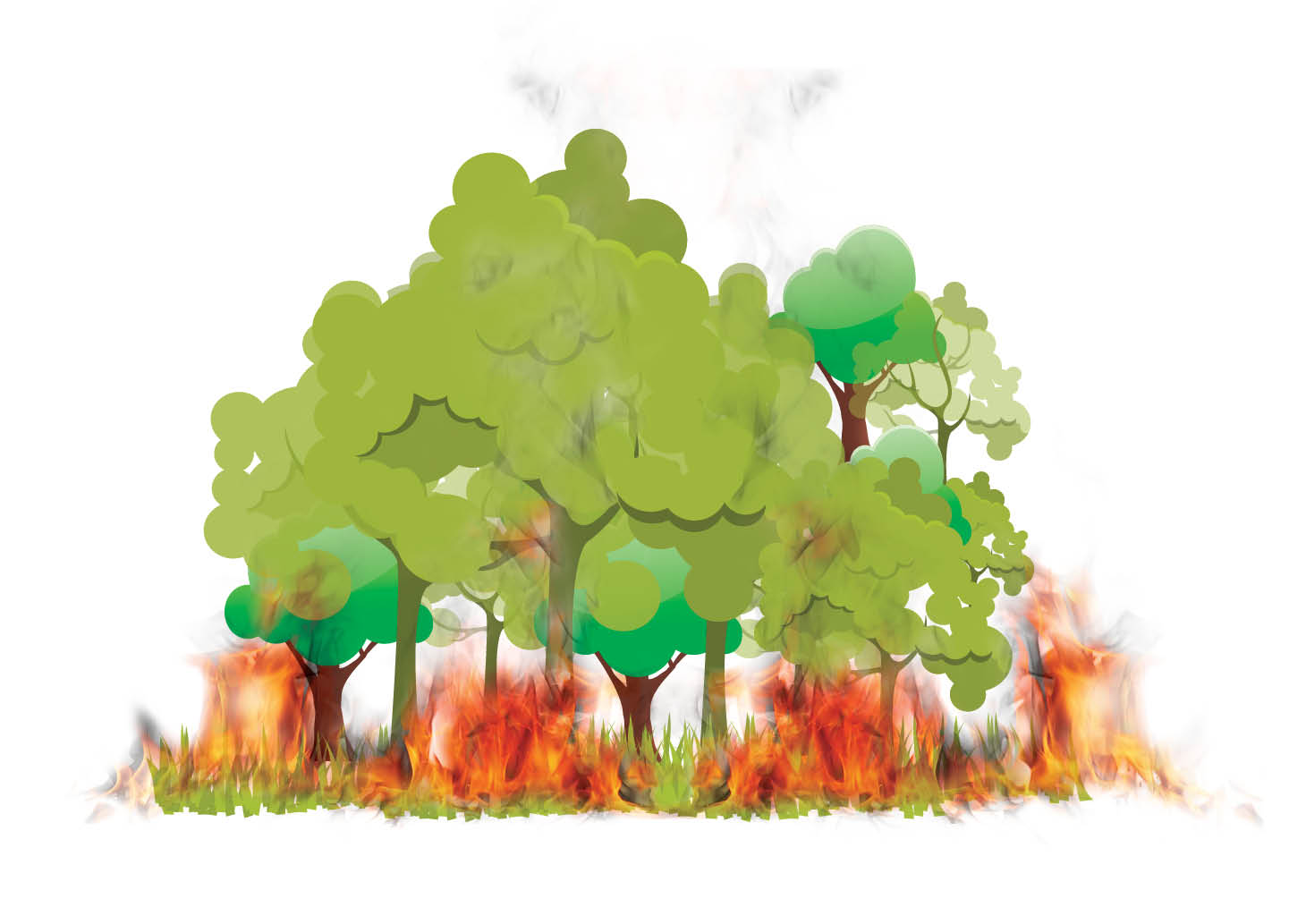 ۳۵۳ درصد افزایش آتش‌سوزی در طبیعت ایران