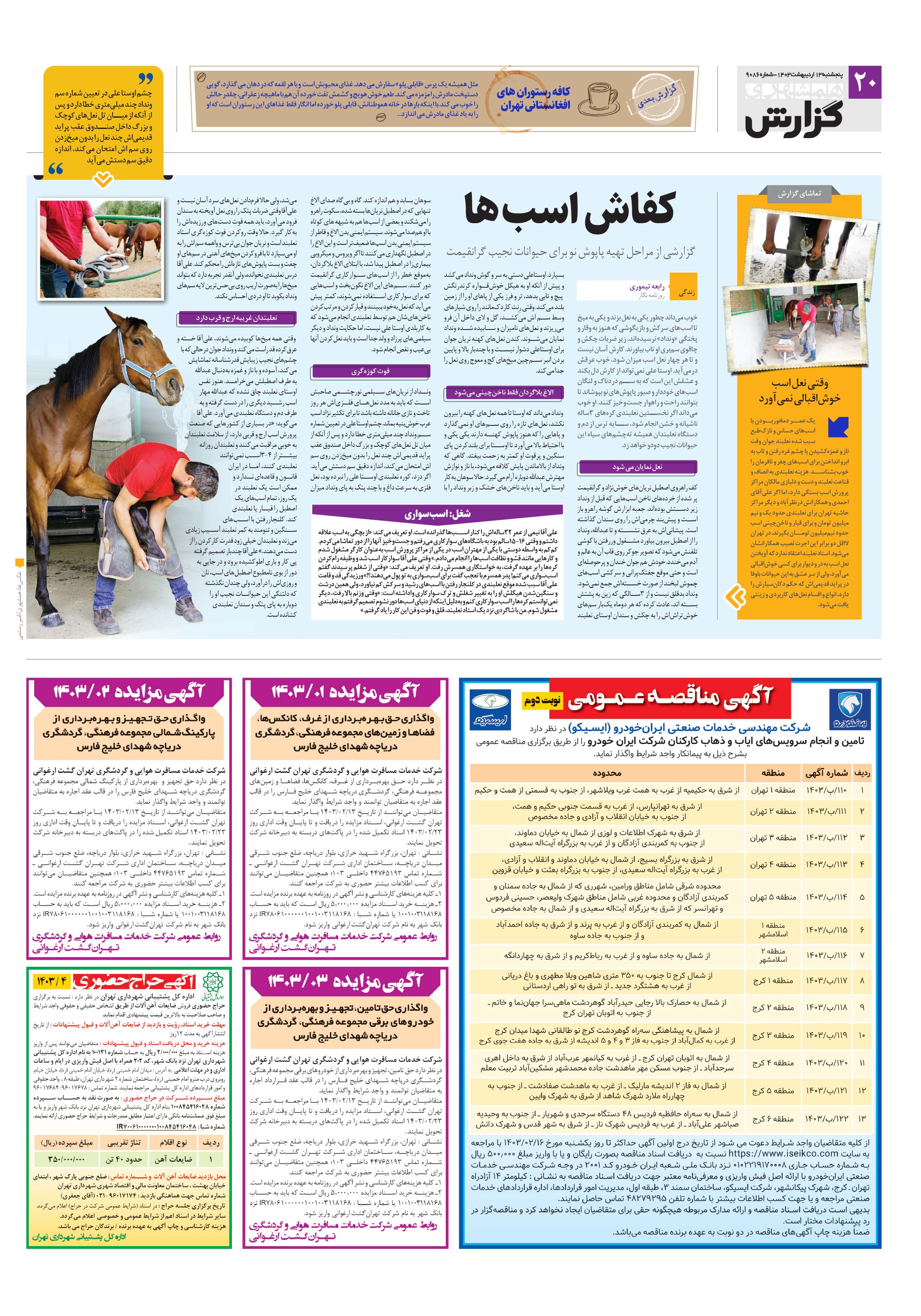 همشهری گزارش