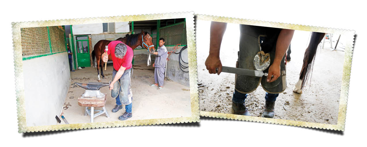 وقتی نعل اسب خوش‌اقبالی نمی‌آورد