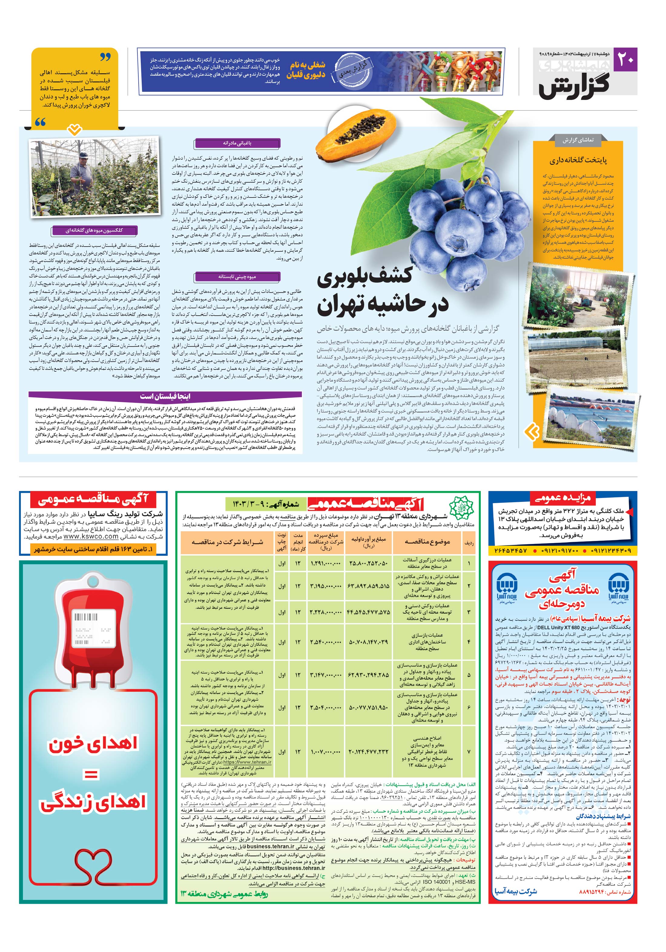 همشهری گزارش