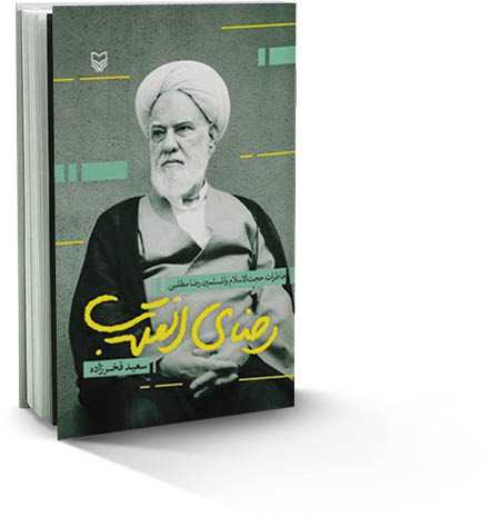 رضای انقلاب