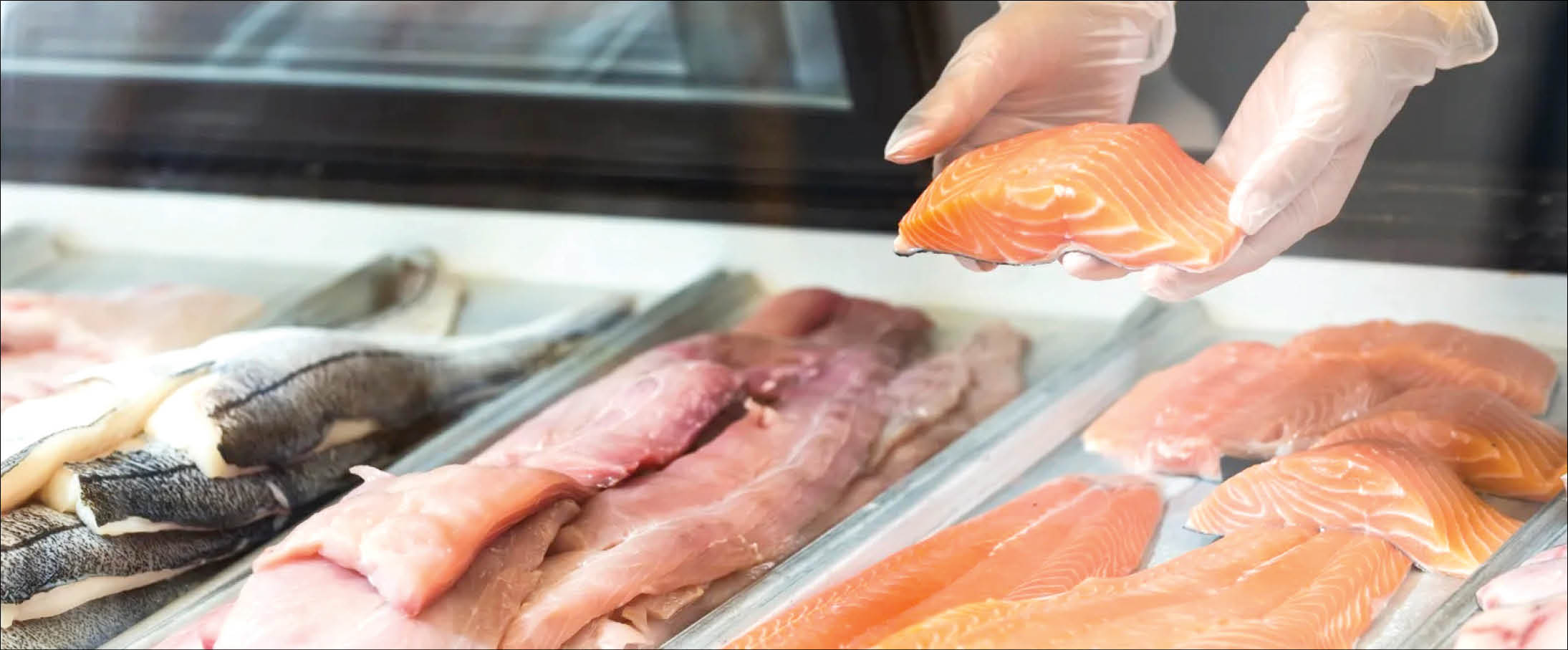 تشخیص غذای سالم با برچسب هوشمند ایرانی