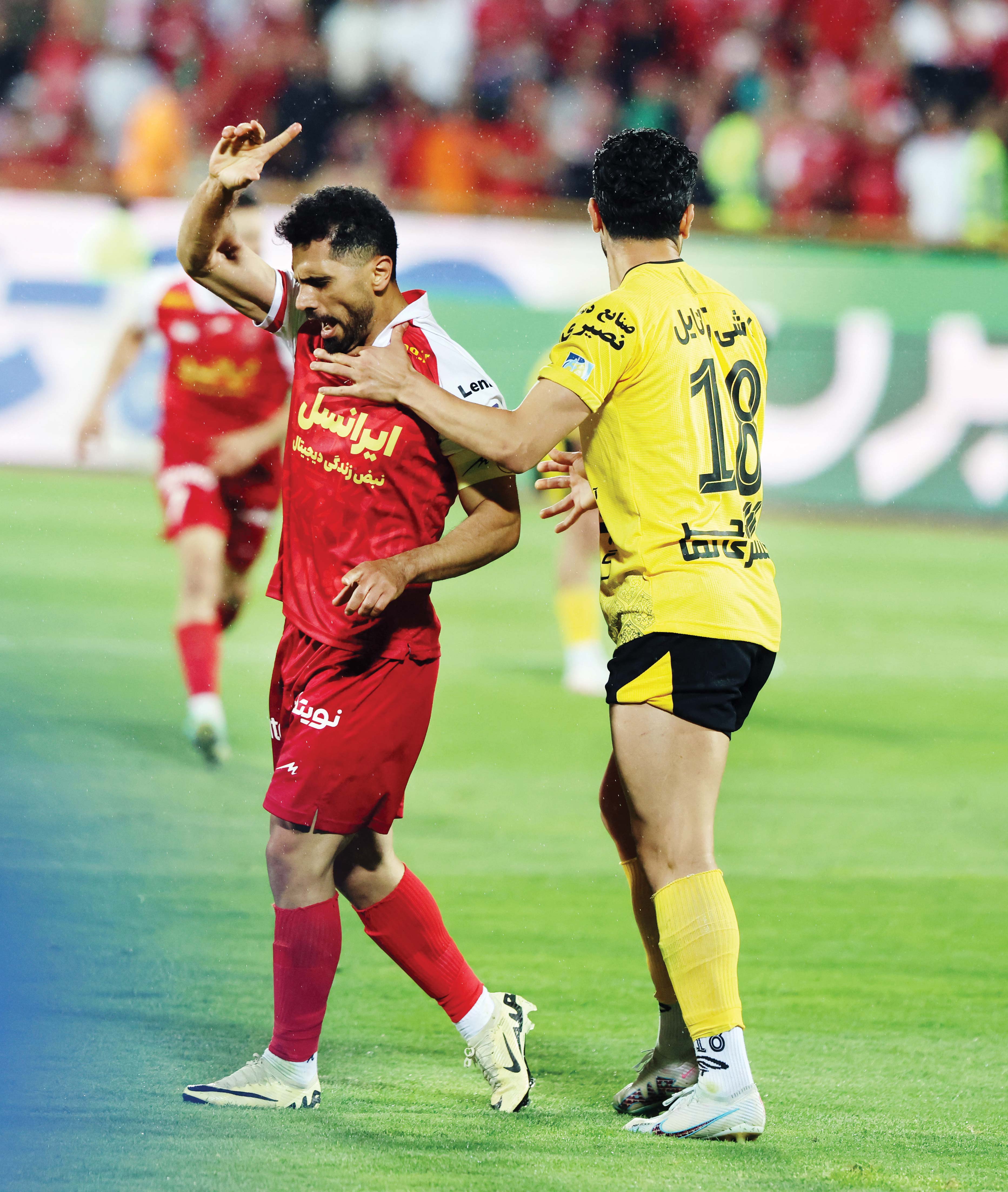 روزی که خوردبین شاکی شد