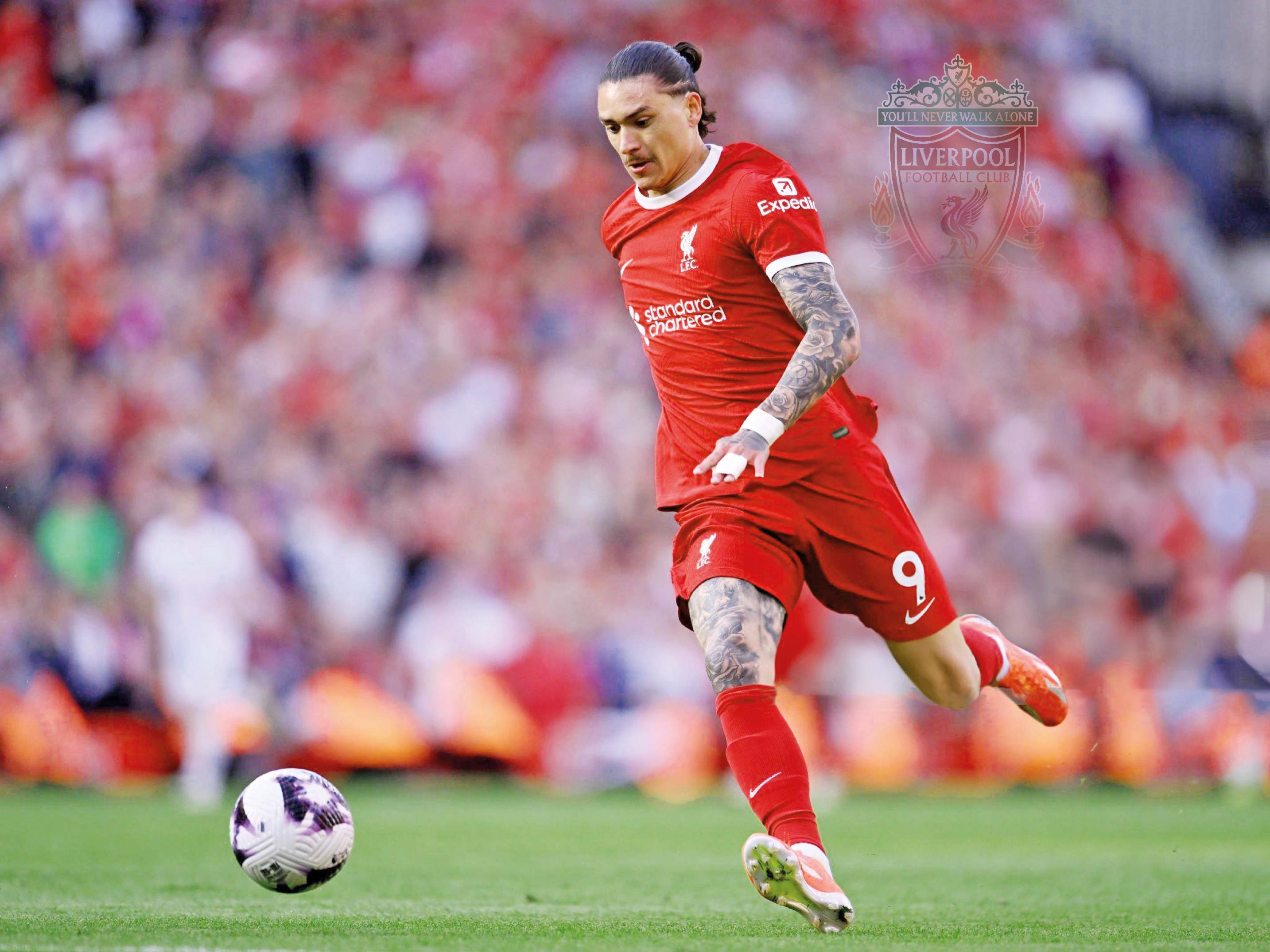 زیبا تحت هر شرایطی