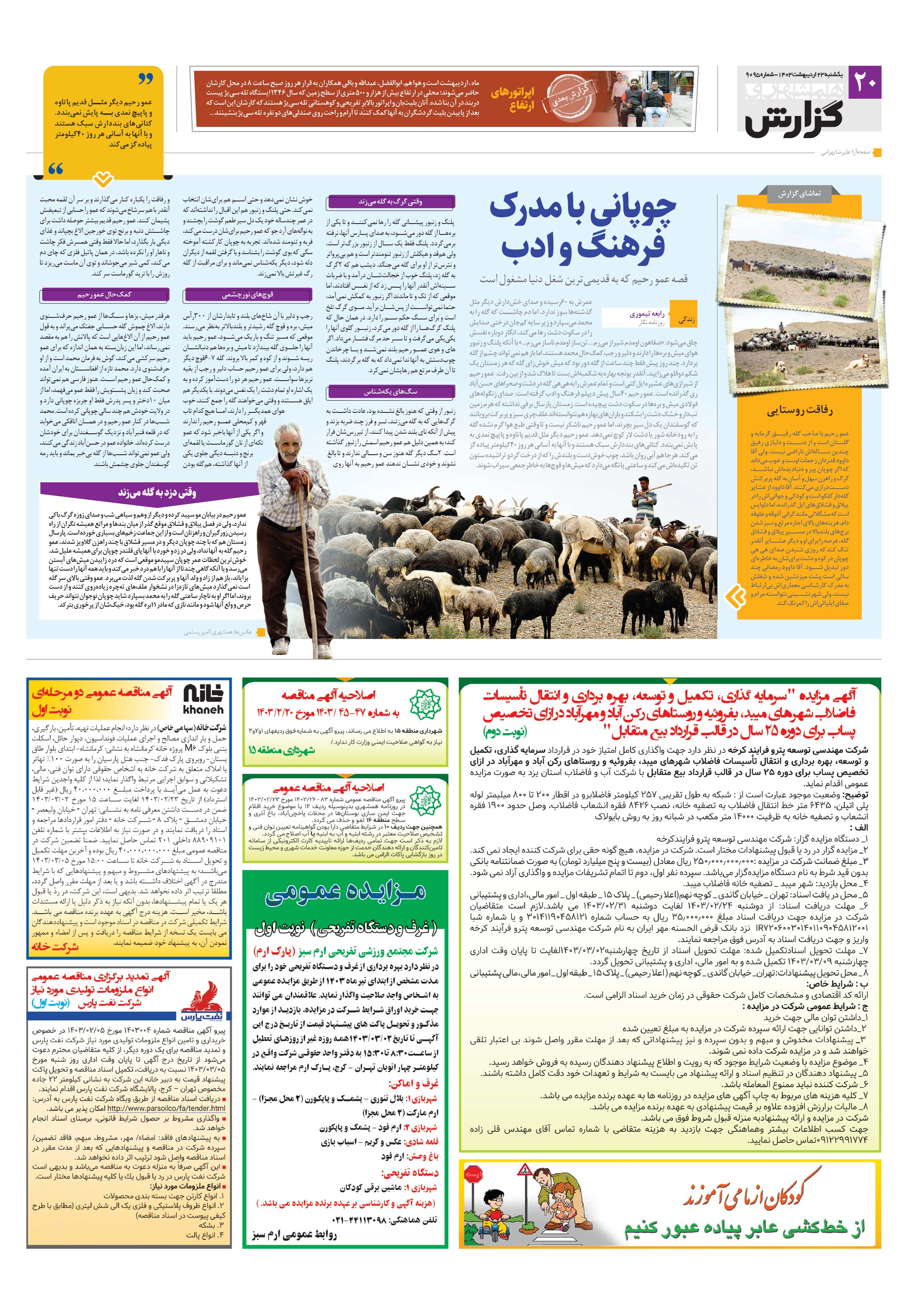 همشهری گزارش