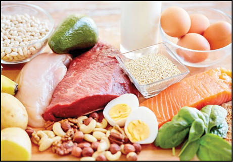 چرا غذای کودکان باید حاوی پروتئین باشد؟