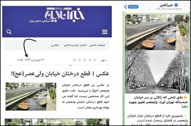 دروغ های دنباله دار از درختان