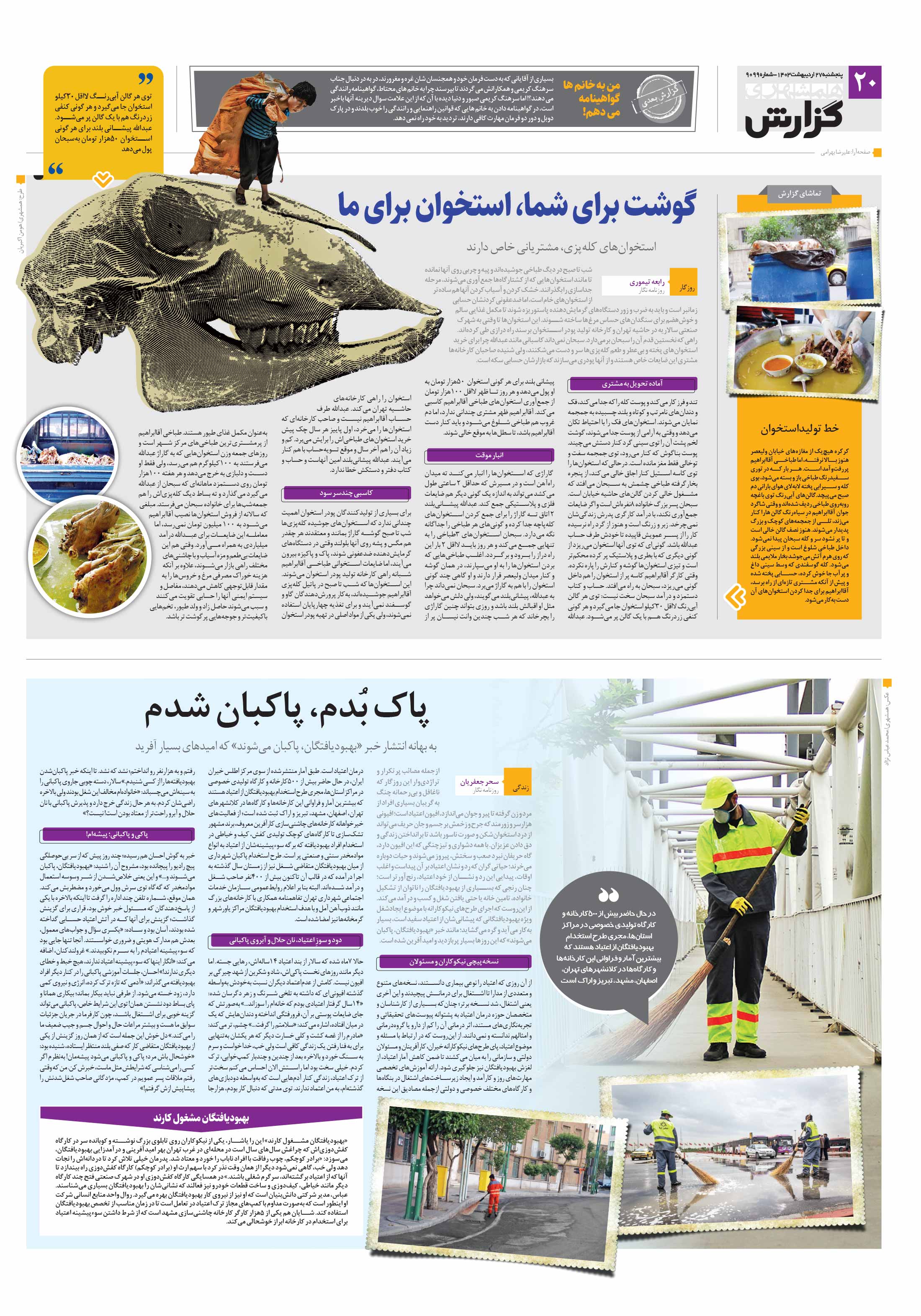 همشهری گزارش