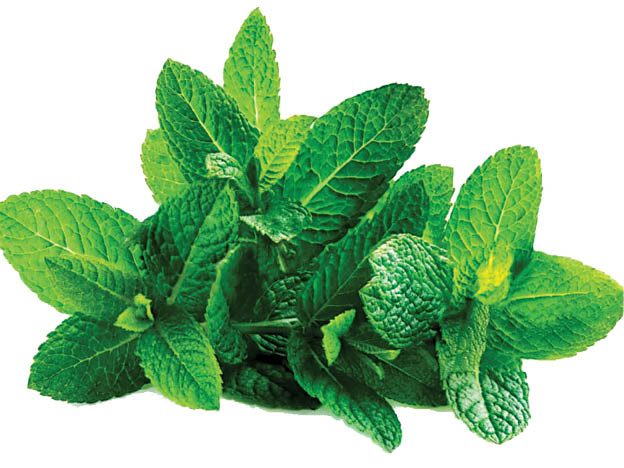 این نعنا بازاری نیست