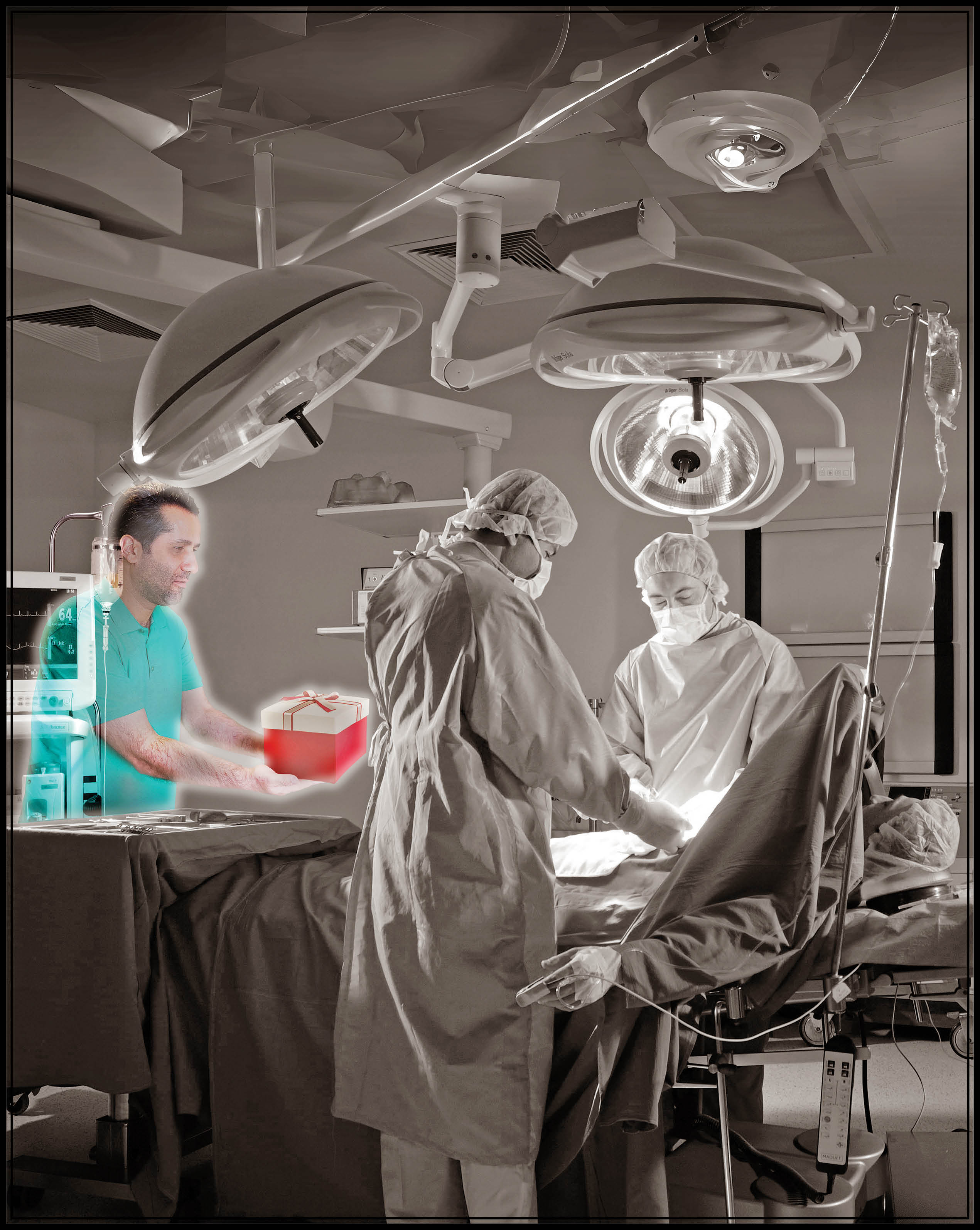 فرایند فراهم‌آوری اعضای پیوندی در ایران چگونه است؟