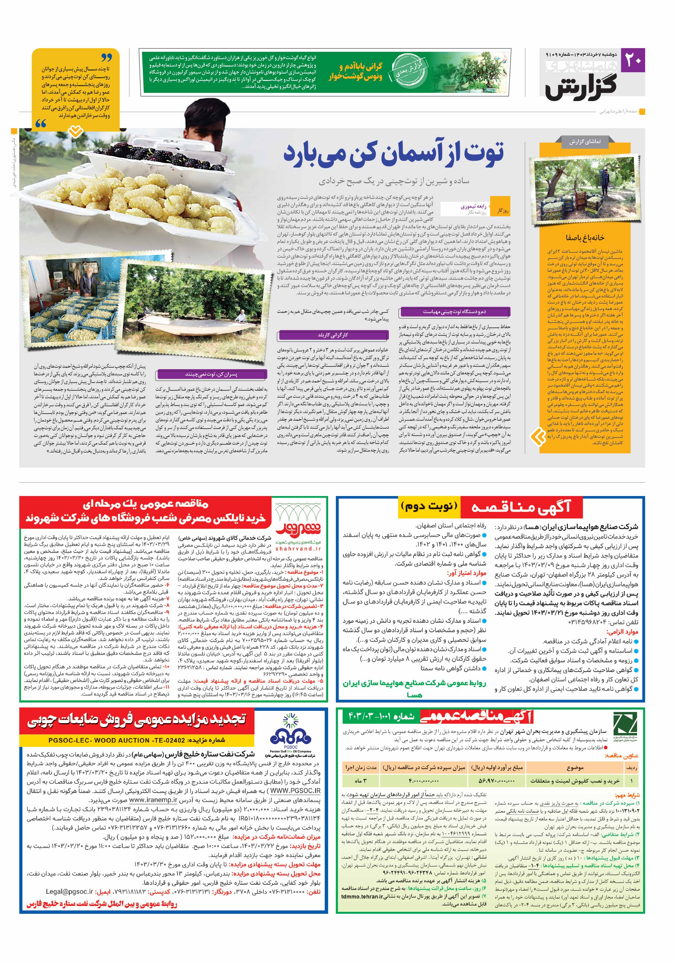 همشهری گزارش