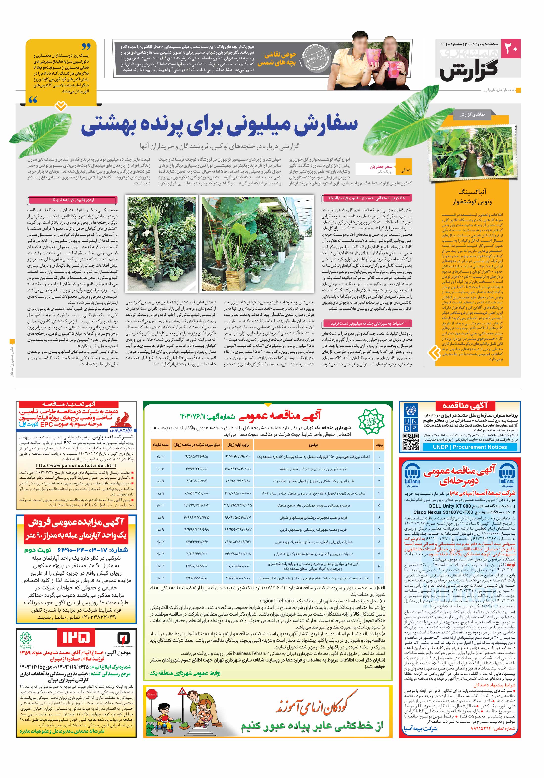 همشهری گزارش