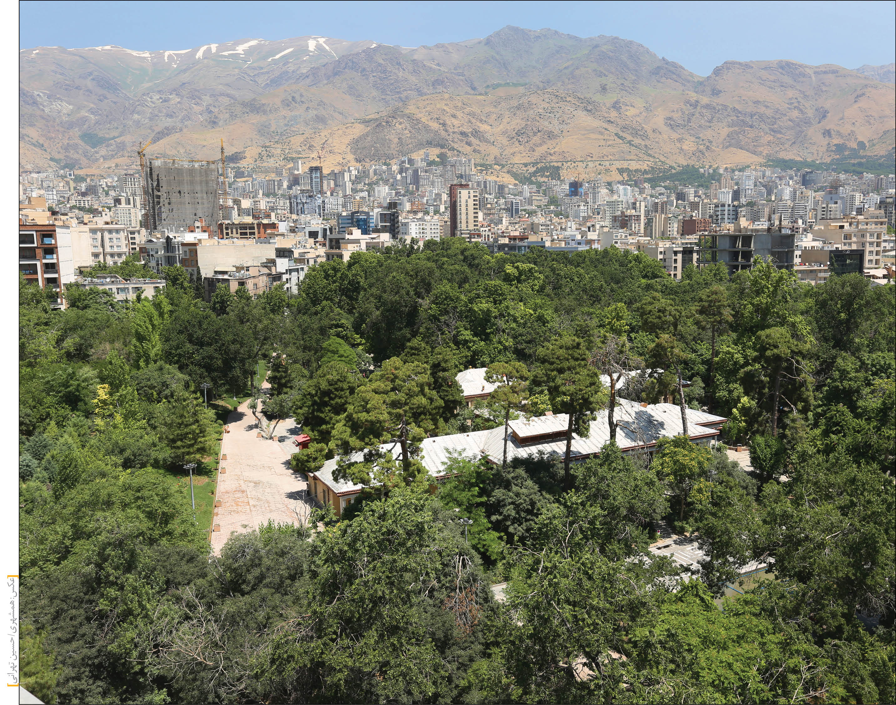 با تکذیبیه سازمان محیط‌زیست درباره قطع درختان