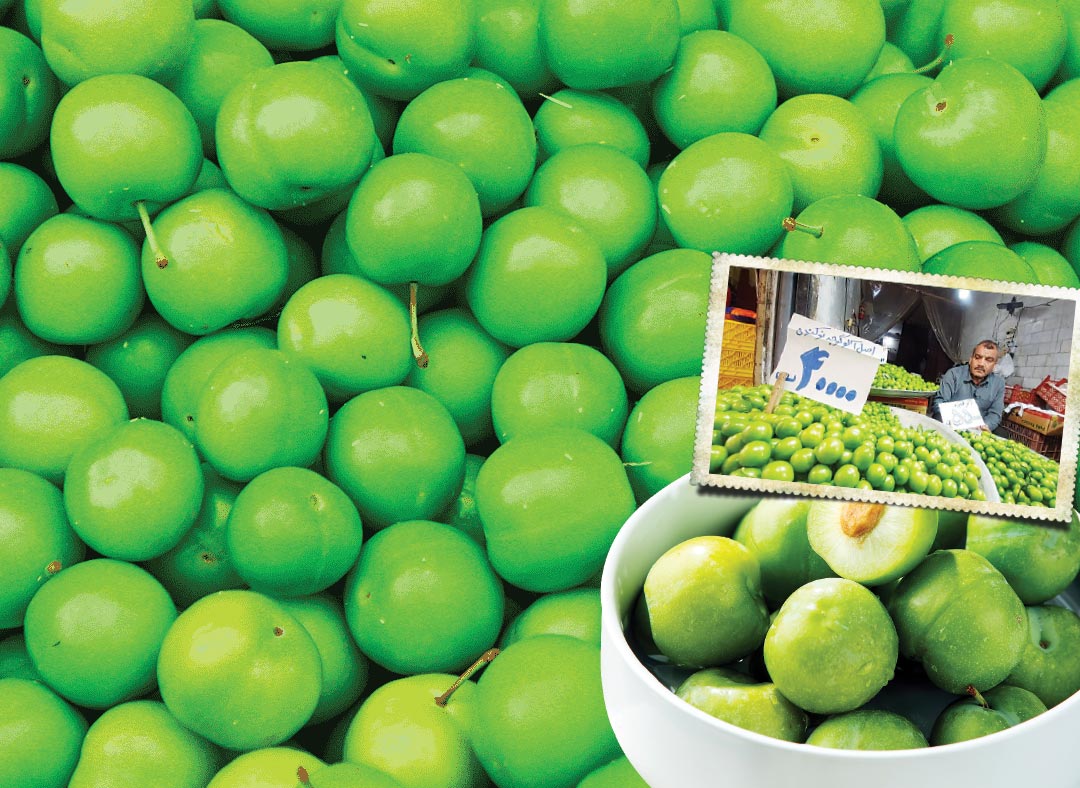 نوبرانه نوکنده