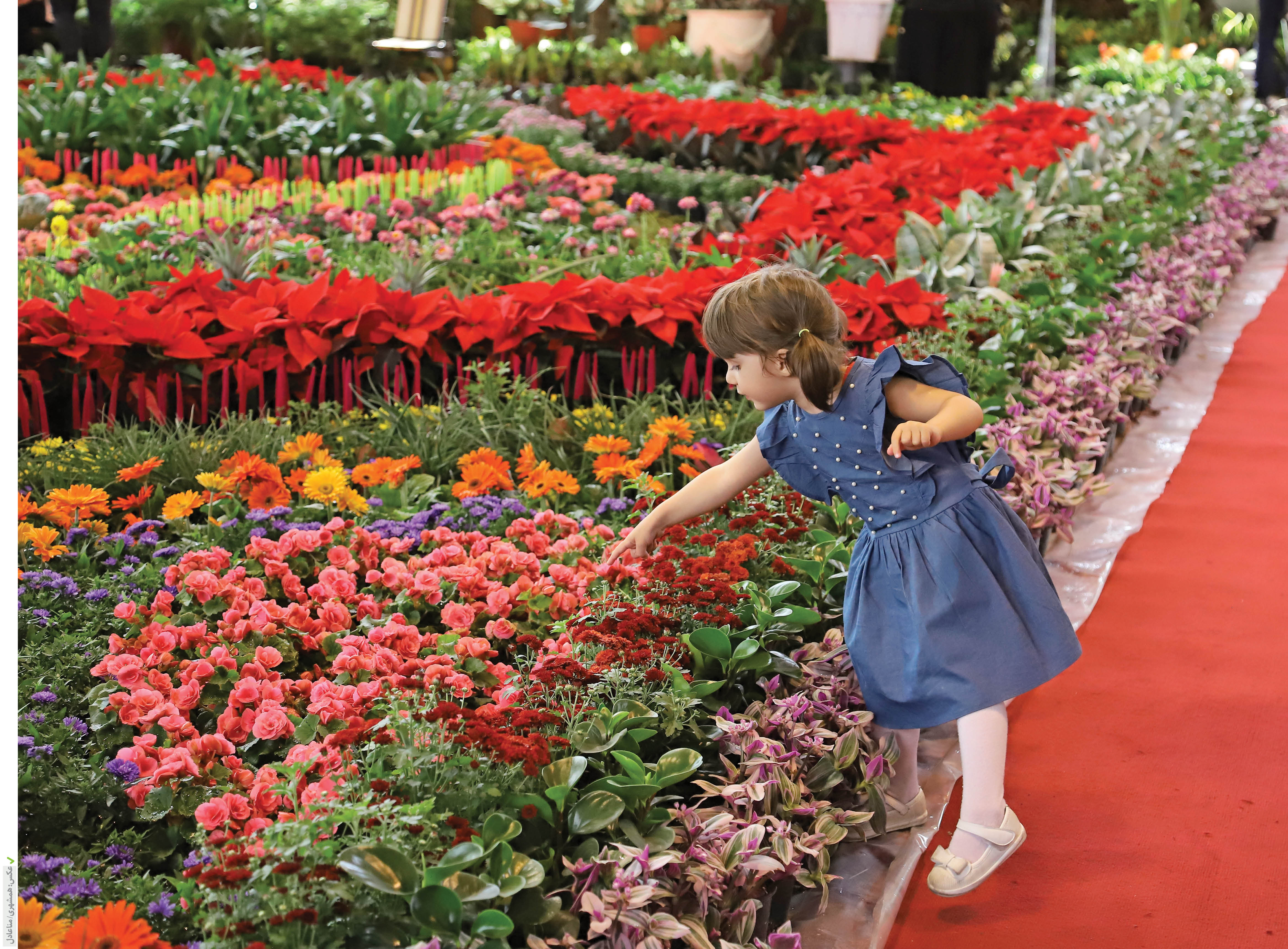 در دامان طبیعت