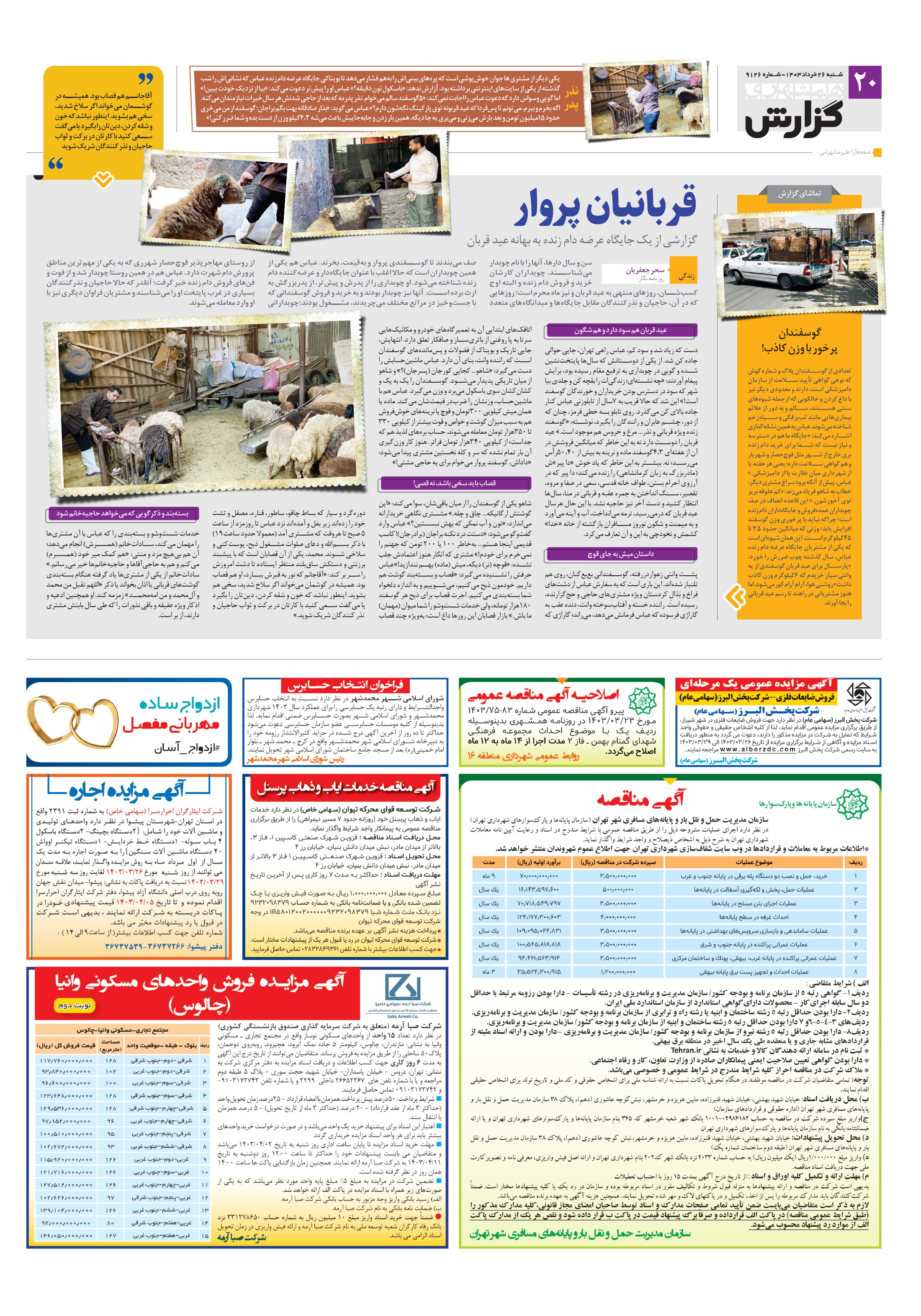 همشهری گزارش