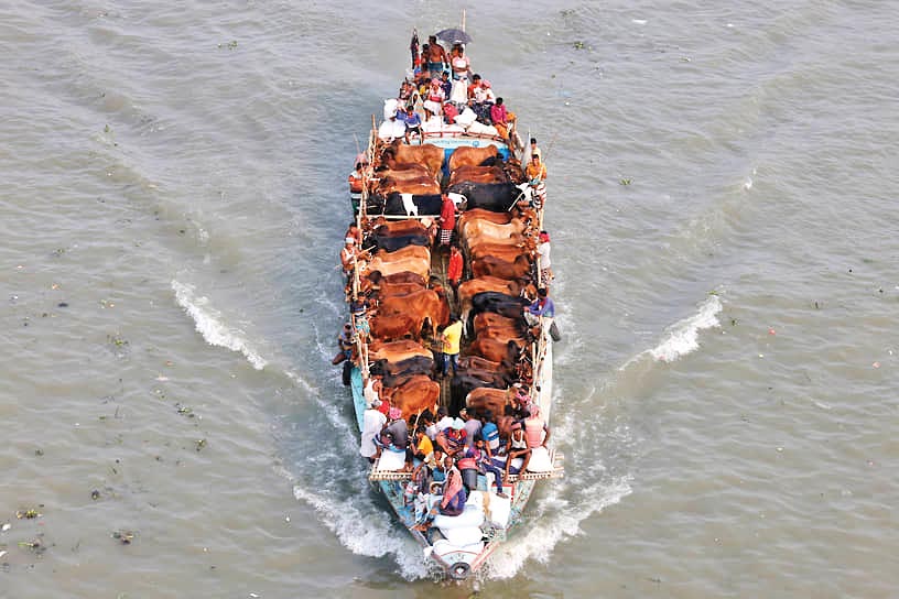 سنت قربانی‌کردن