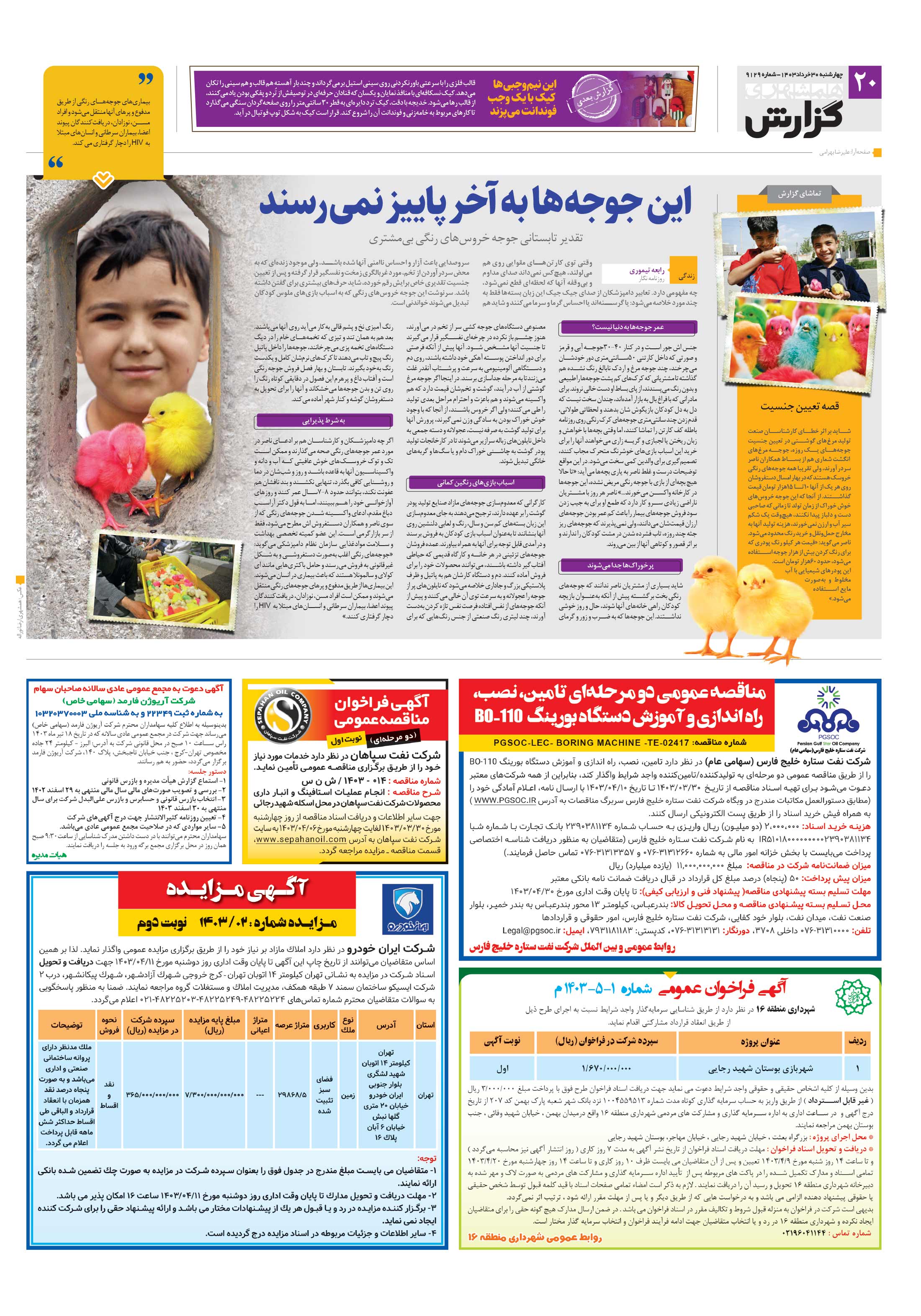 همشهری گزارش