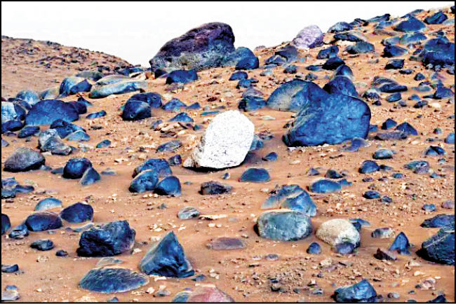 کشف جالب مریخ‌نورد استقامت