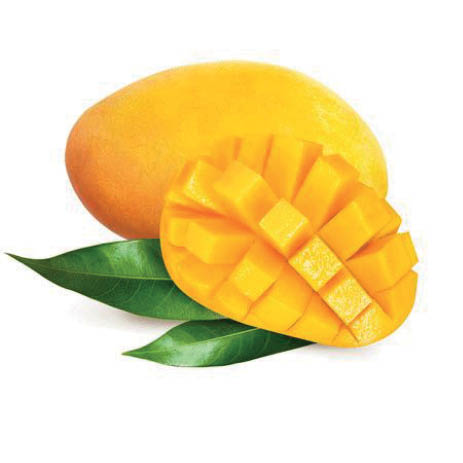 بفرمایید انبه محصول ایران