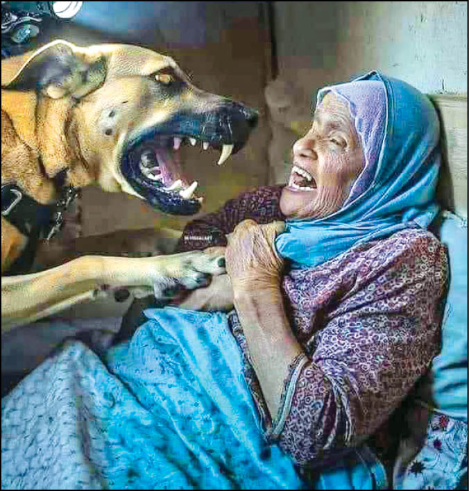 جنون سگی صهیونیست‌ها