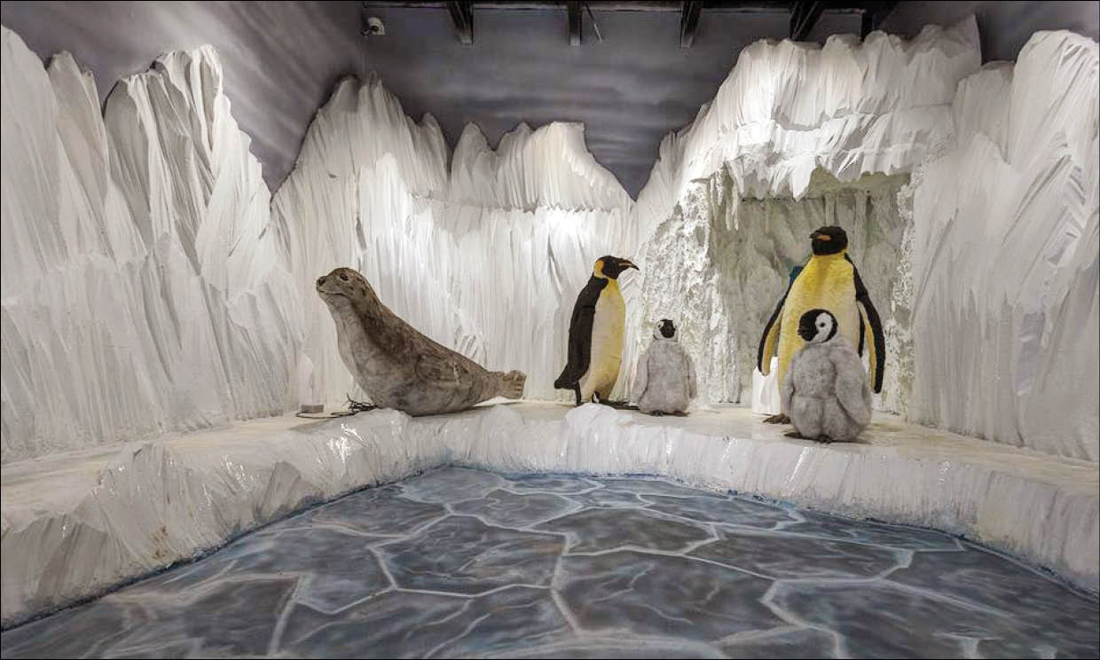 در این تم‌پارک‌ها بچه‌ها با انواع جانوران آشنا می‌شوند