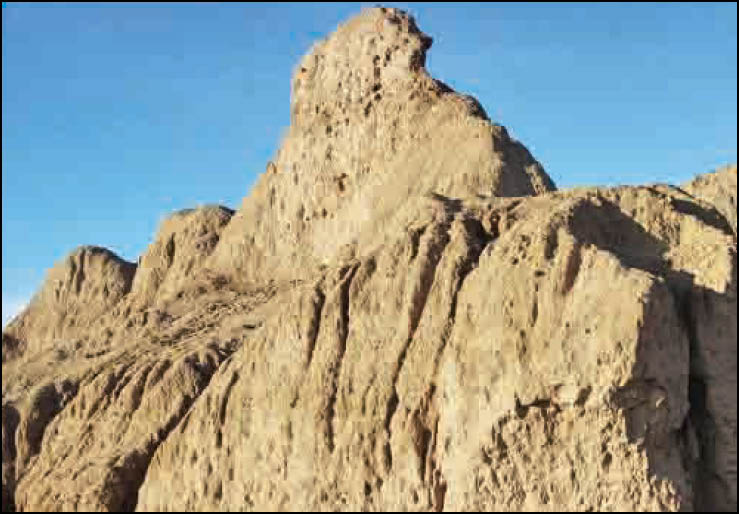 ‌«پرو» در ایران است