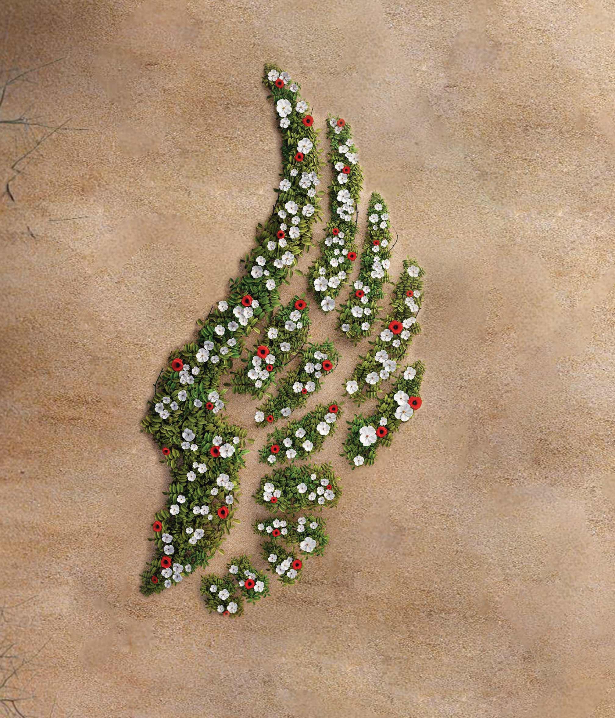 نگاهی به رویداد و جایزه ملی حاج عبدالله والی