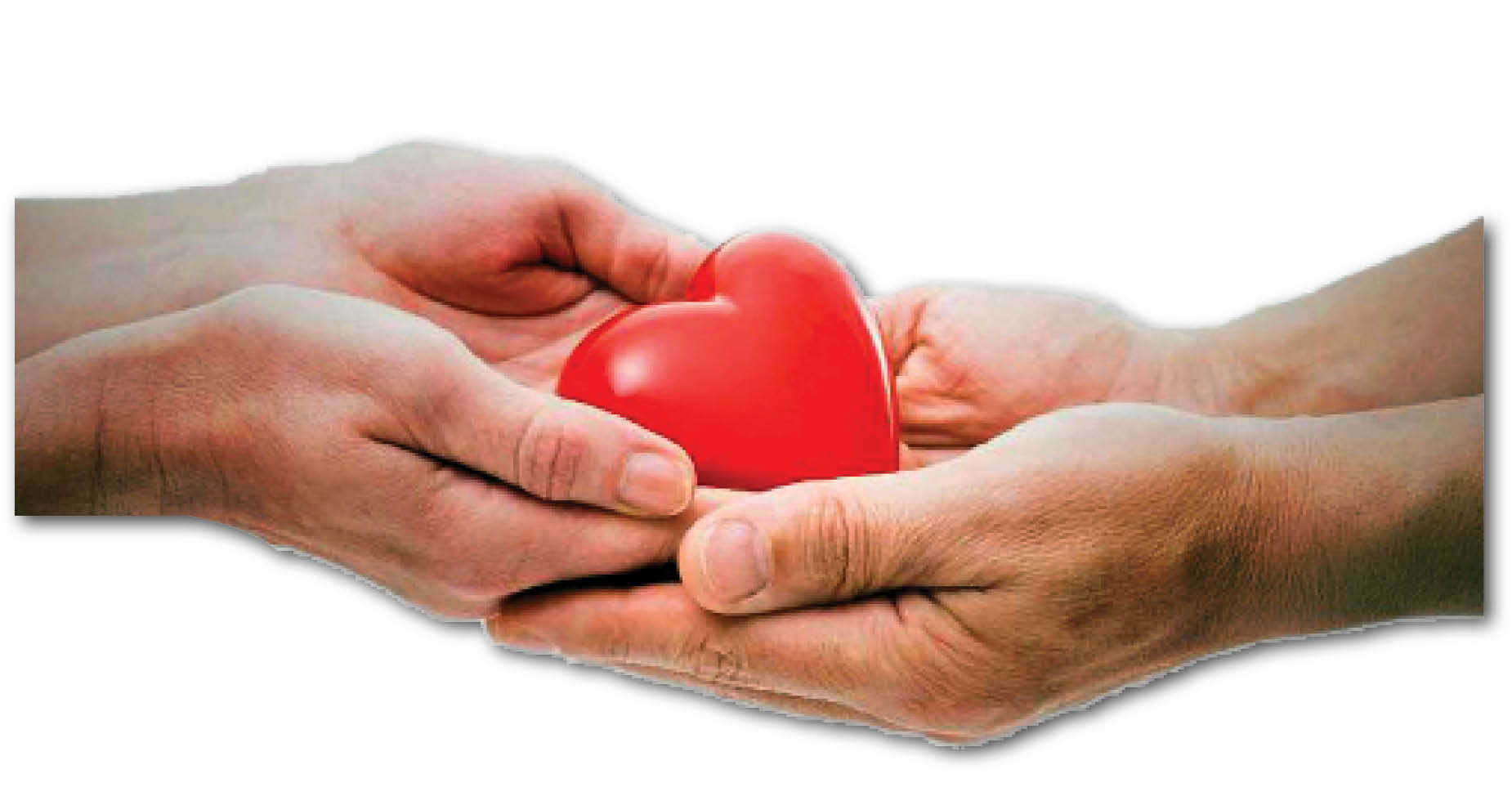 نایب رئیس انجمن اهدای عضو ایرانیان، رویکرد شورا و شهرداری تهران به موضوع اهدای عضو را بی‌نظیر می‌داند