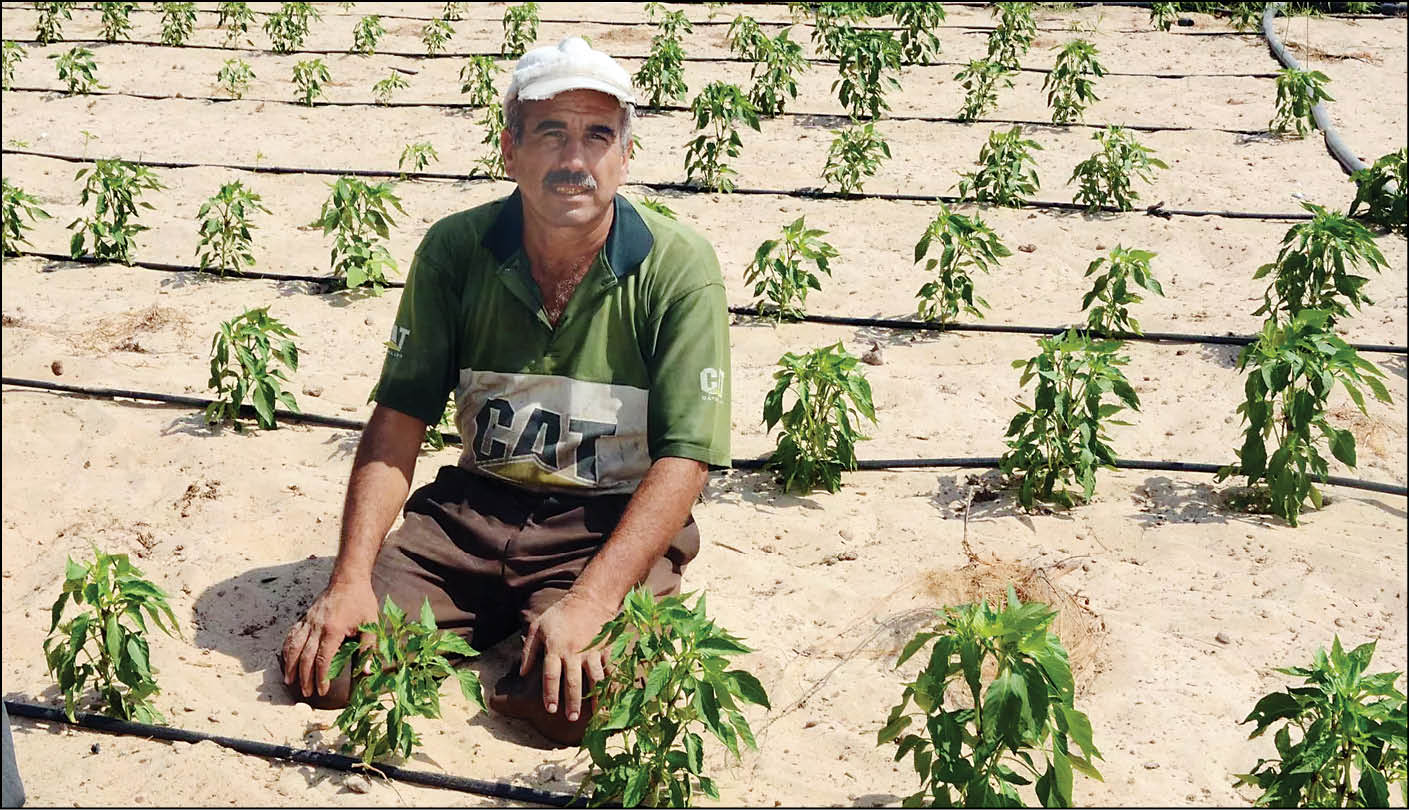 کشاورزی غزه؛ پیش و پس از حمله اسرائیل