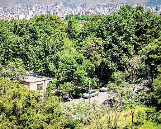 دستور شهردار برای سرعت‌بخشی به 3پروژه عمرانی تهران