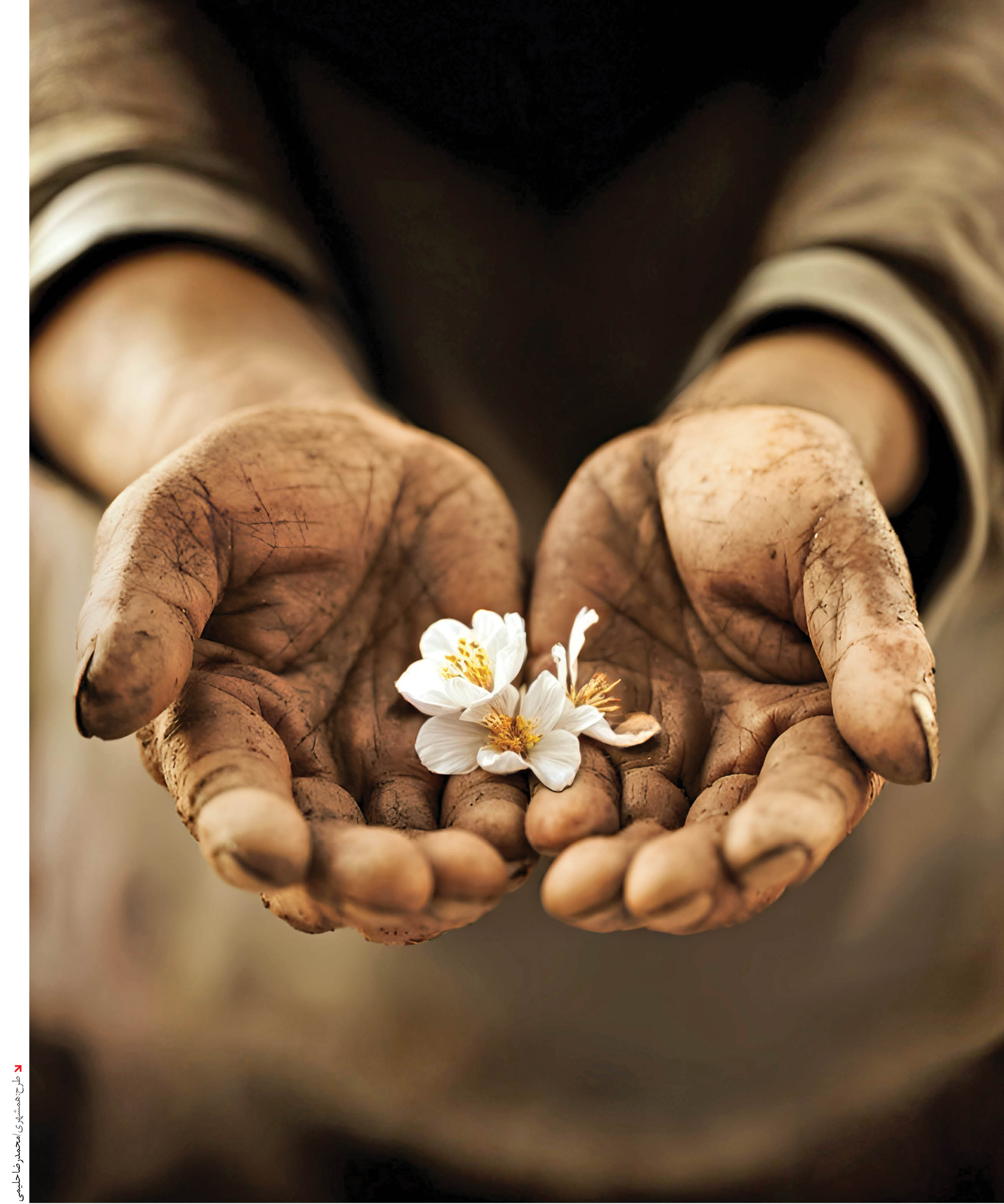 روایت کسب روزی حلال