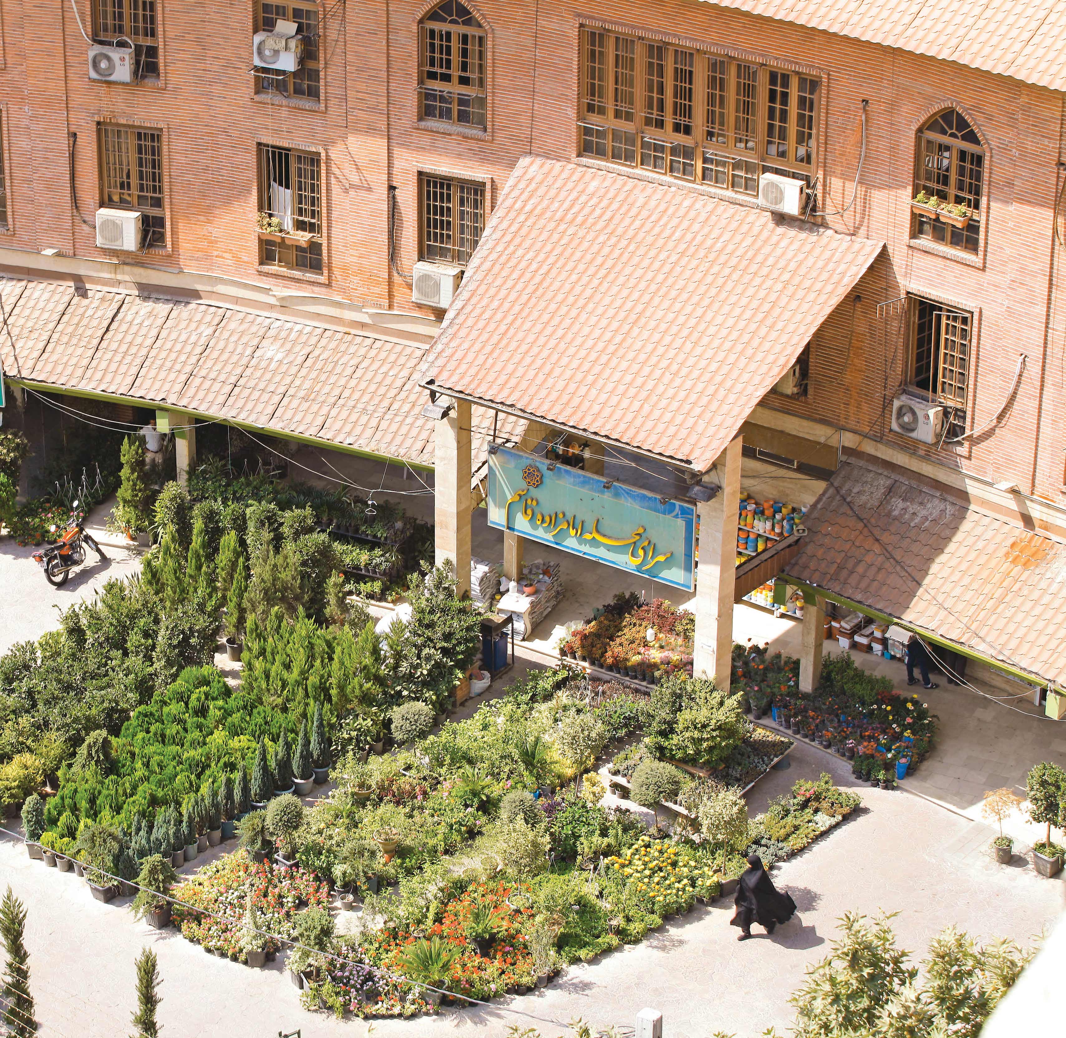 محمدامین توکلی‌زاده، معاون اجتماعی و فرهنگی شهردار تهران