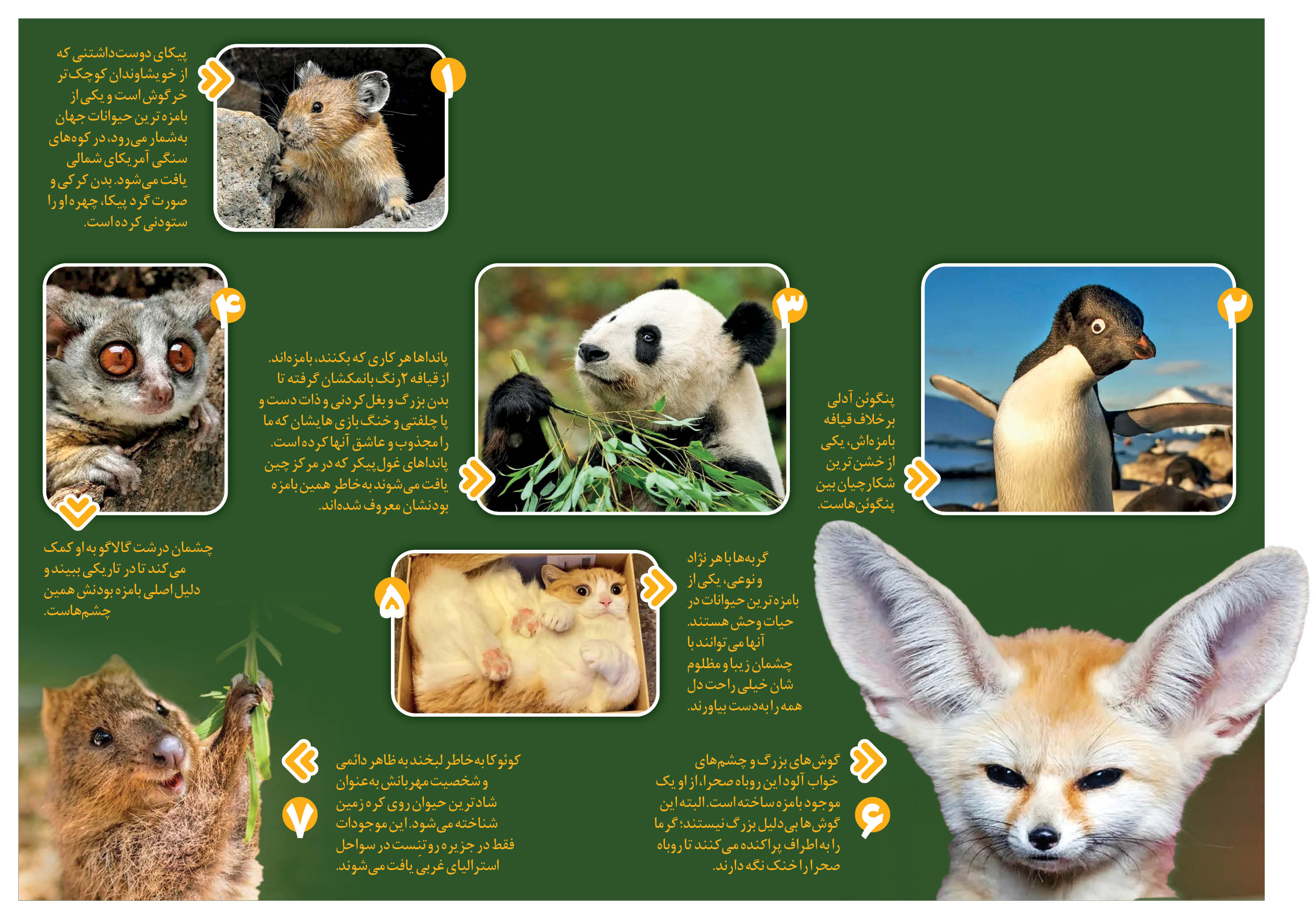 چقدر تو بانمکی!