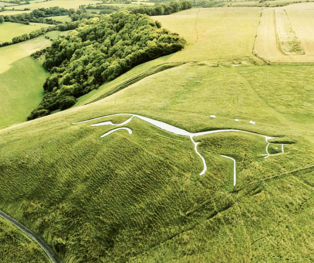 اسب باستانی دوباره زنده شد