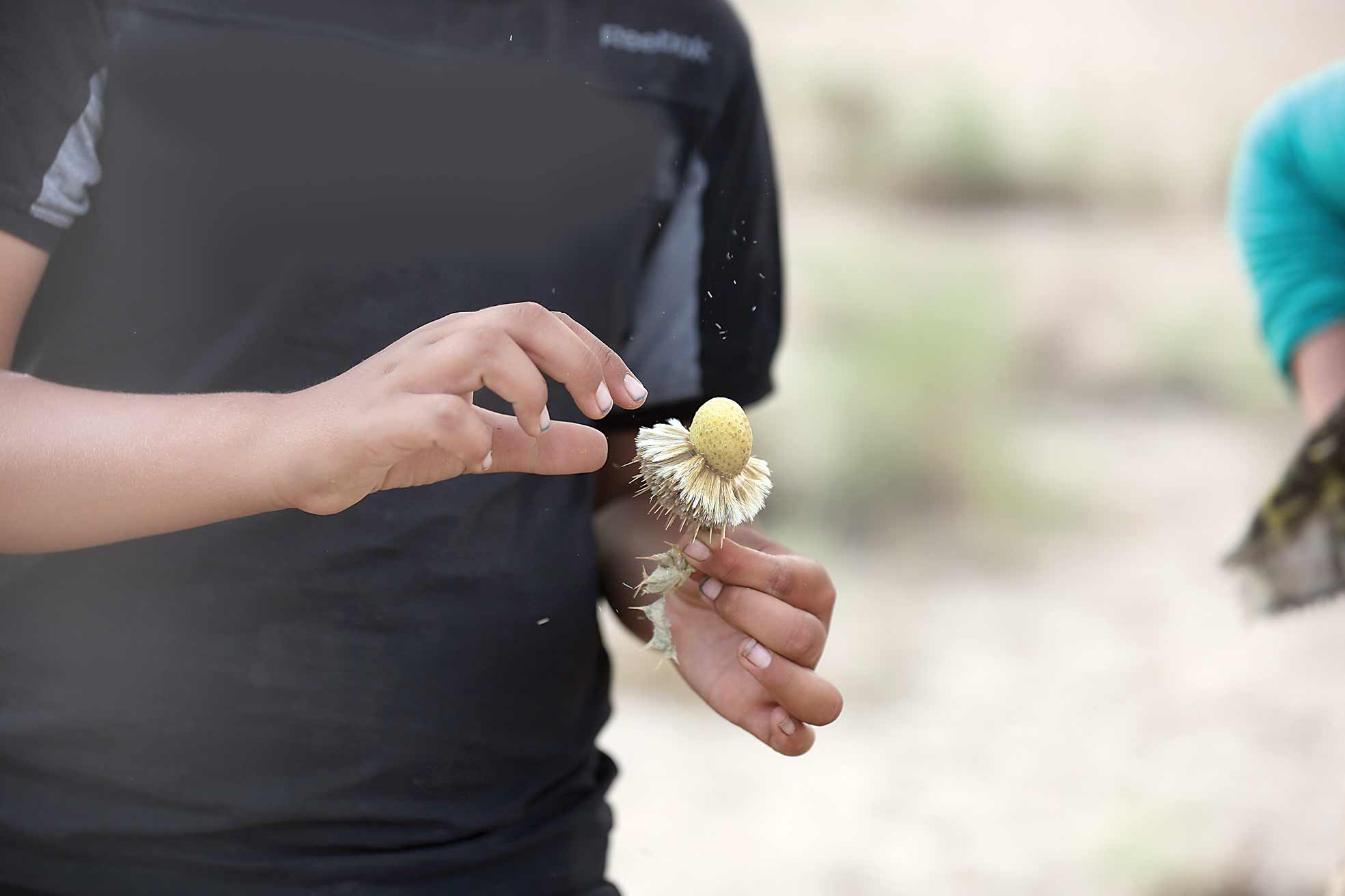 قوانین نانوشته