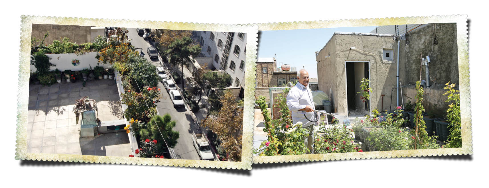 روی بام هاستل