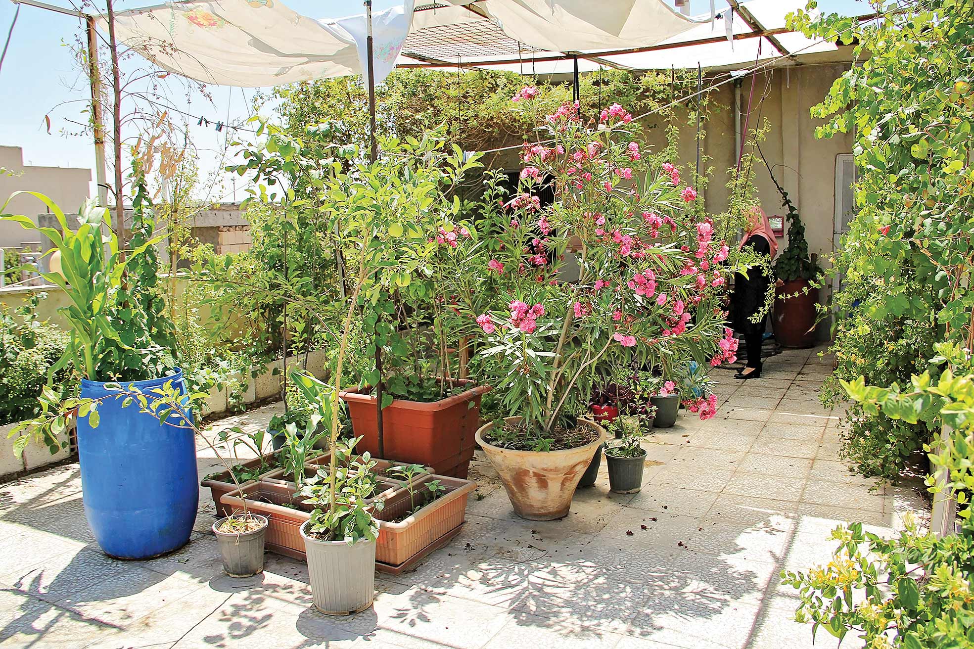 تجربه پشت‌بام‌خوابی