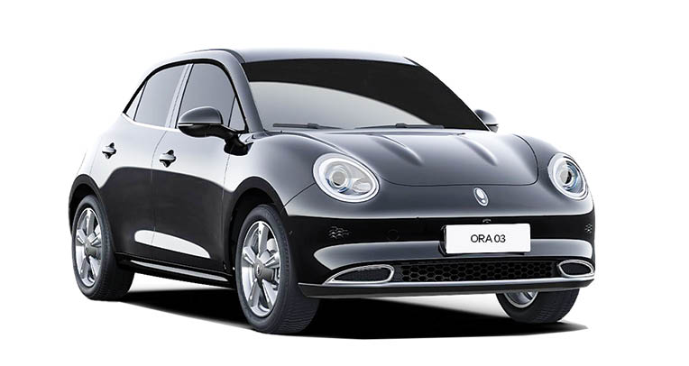 یک چینی جذاب در اروپا