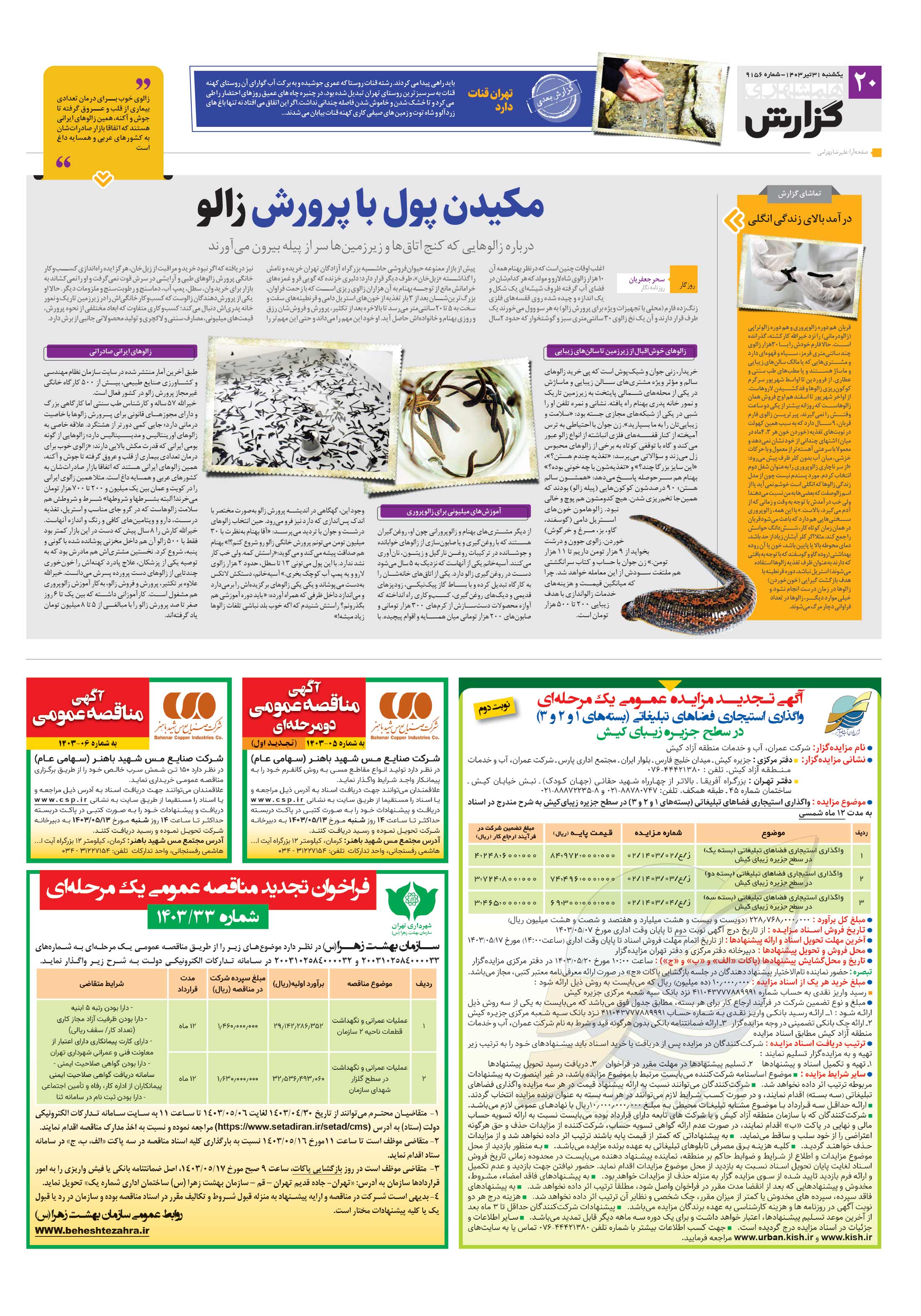 همشهری گزارش