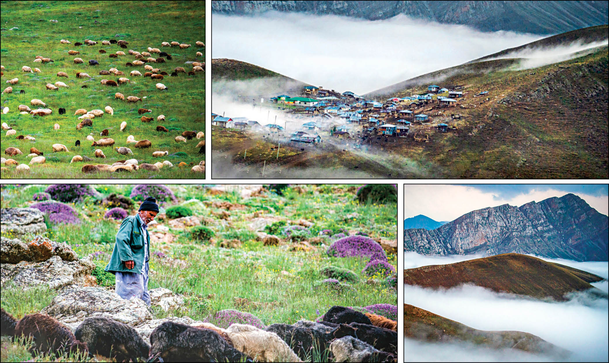 پناه به خنکای کوهستان