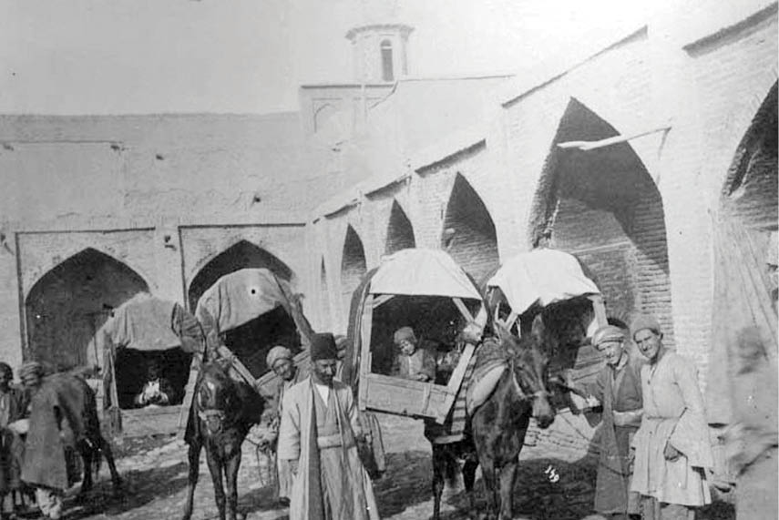 بروبیا در همسایگی آسیاب