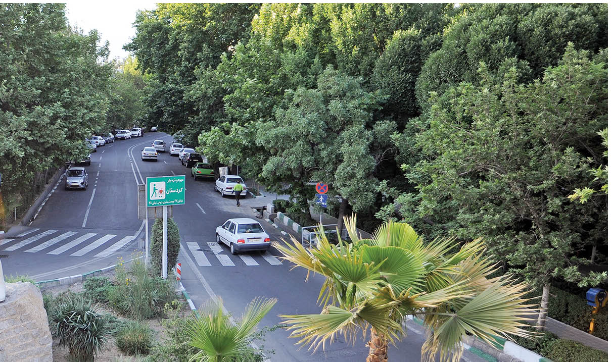 عطر شکوفه‌های گیلاس