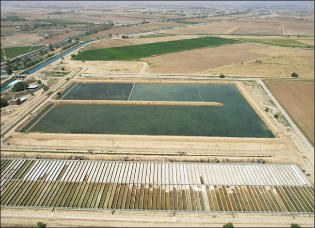 بزرگ‌ترین مجتمع شیلاتی کشور در مدار تولید