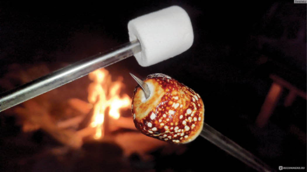 مارشمالو را کباب کنید