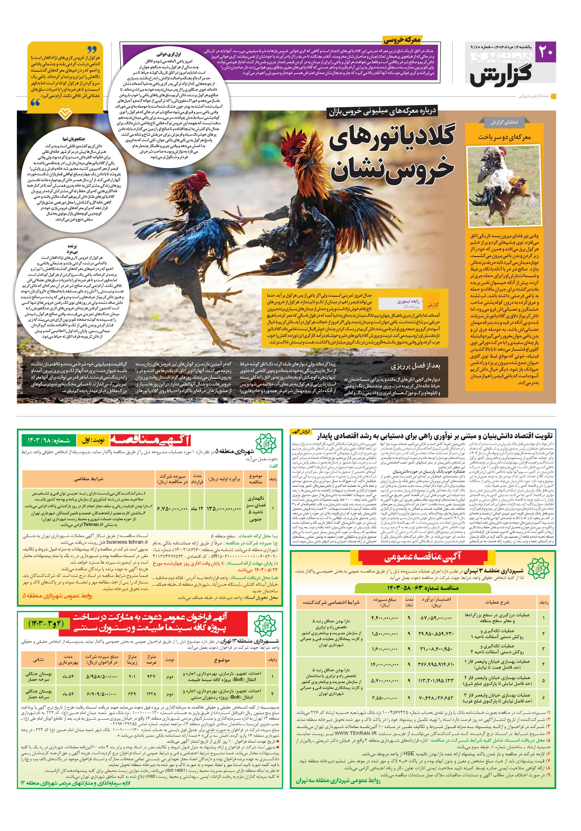 همشهری گزارش