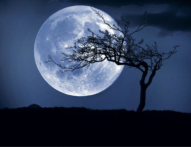 فردا ‌ماه آبی را از دست ندهید