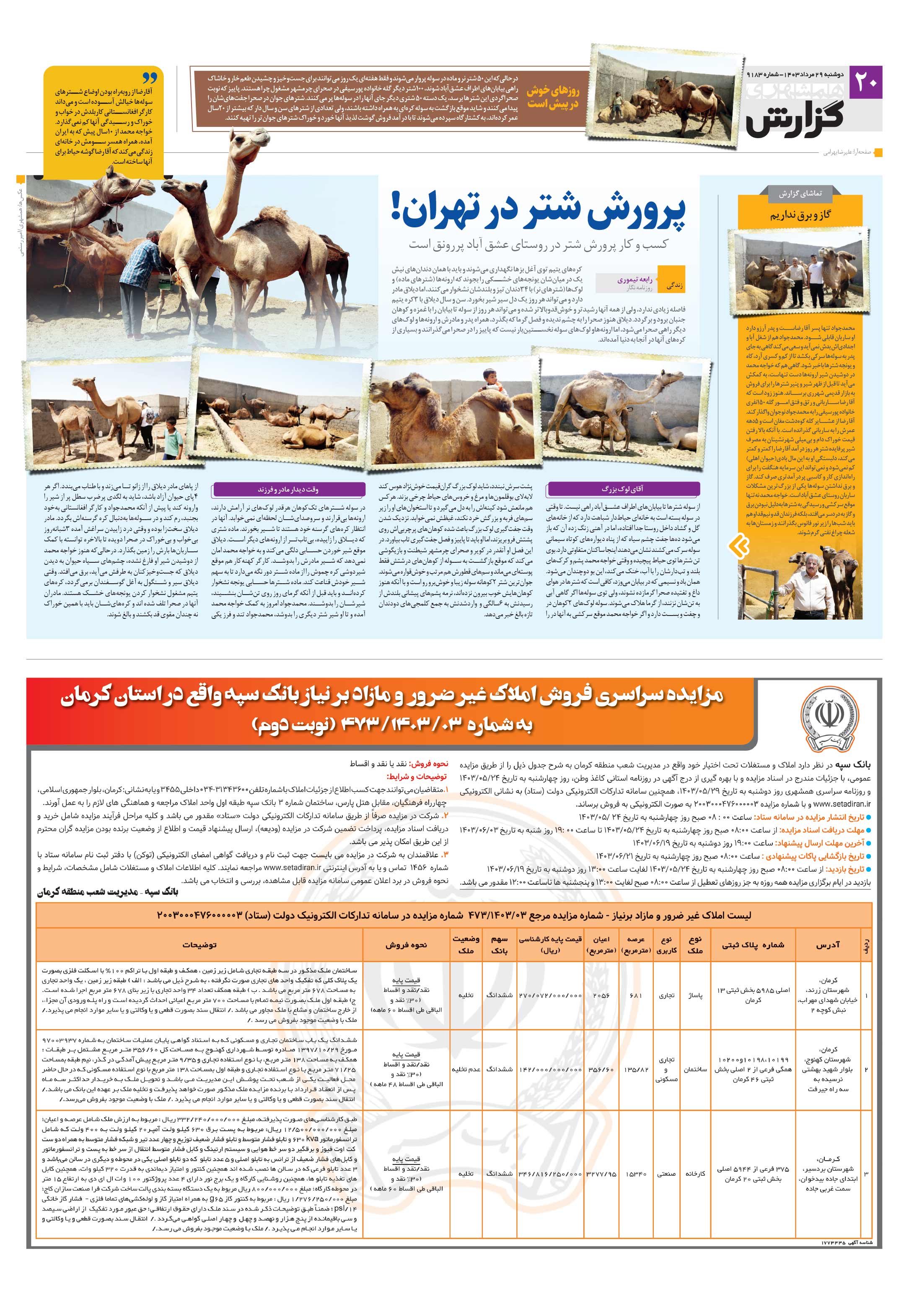 همشهری گزارش